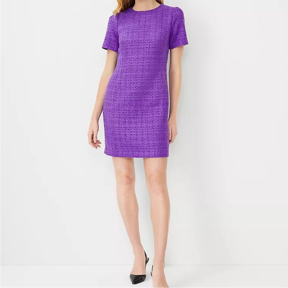 Elegant Purple Women's Dress